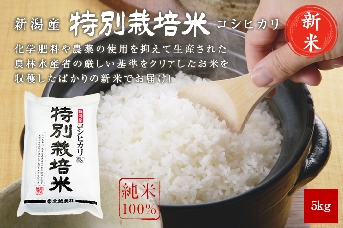 新米 新潟産コシヒカリ 特別栽培米5kg(5kg×1袋)