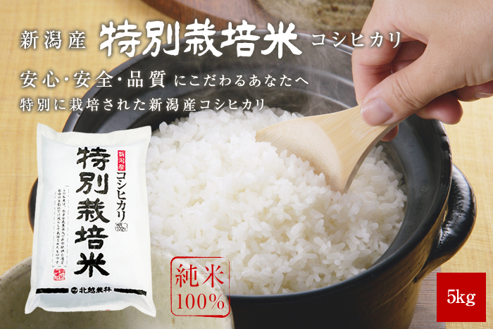 新米 新潟産コシヒカリ 特別栽培米5kg 令和5年産
