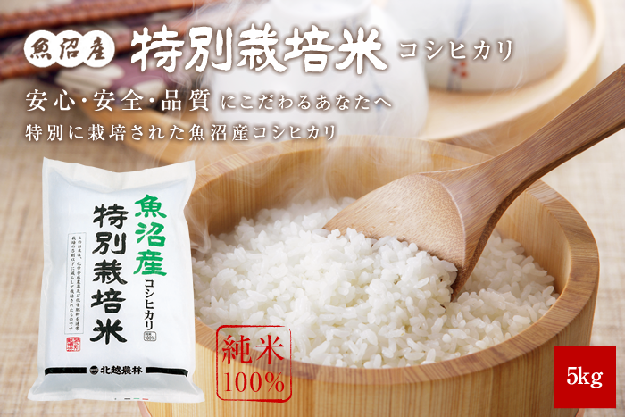 令和4年産　魚沼産コシヒカリ特別栽培米　精米15キロ